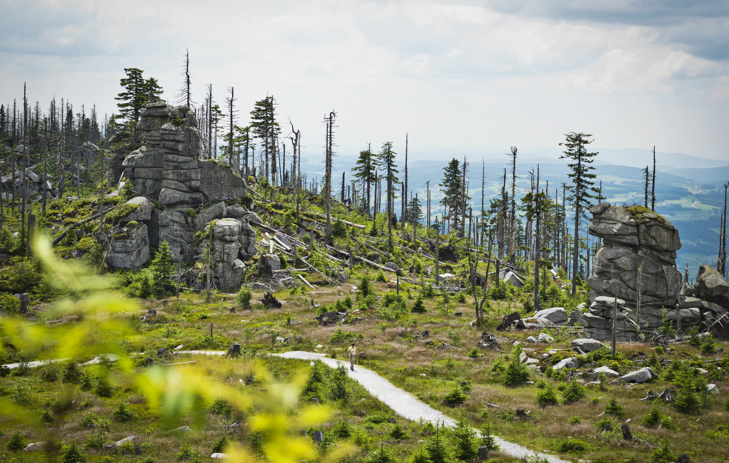 Dreissesselberg Neureichenau