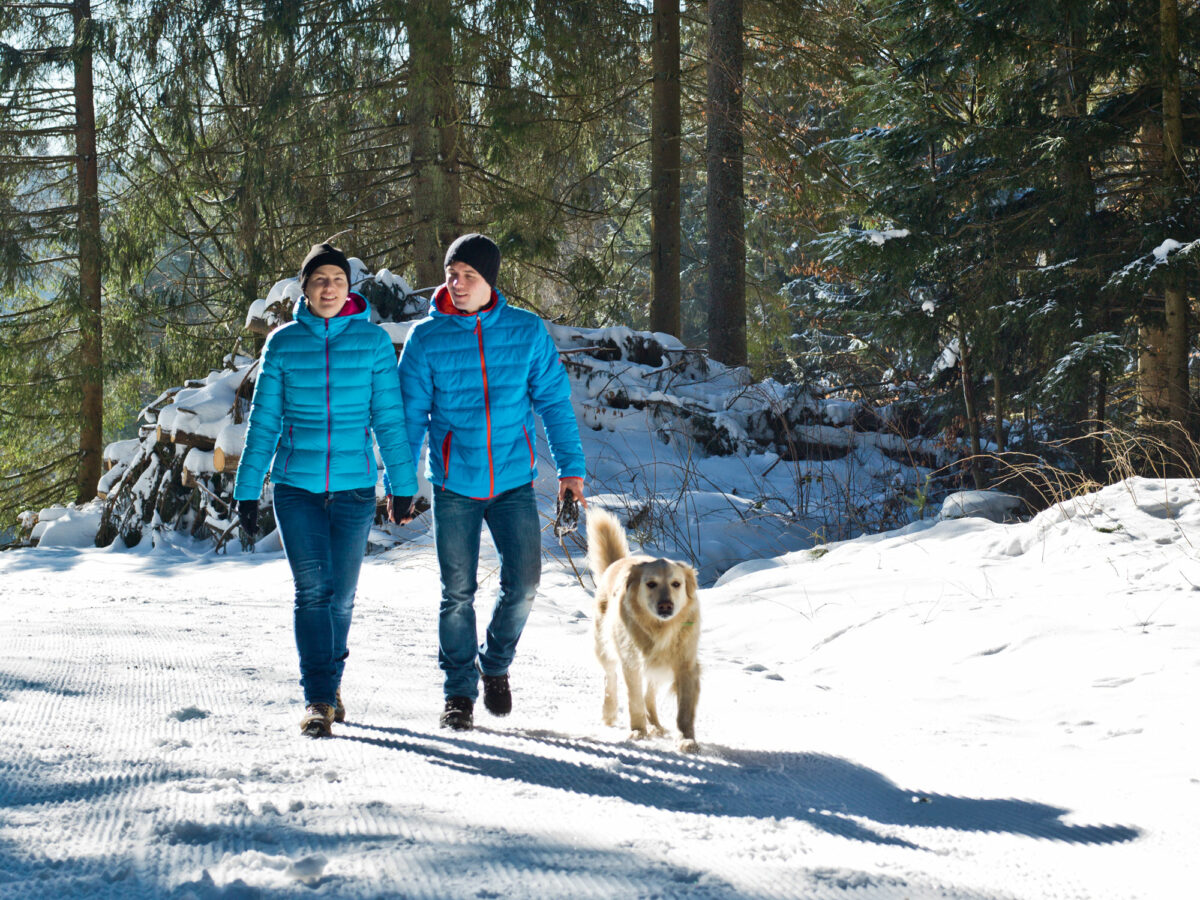 Paar spaziert mit Hund im Schnee