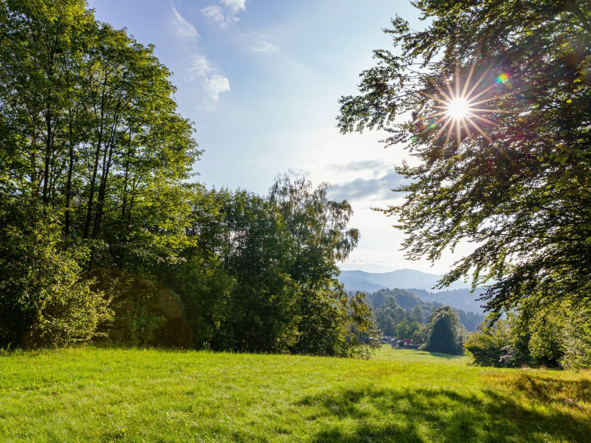 Bayerische Landesgartenschau 2023 in Freyung