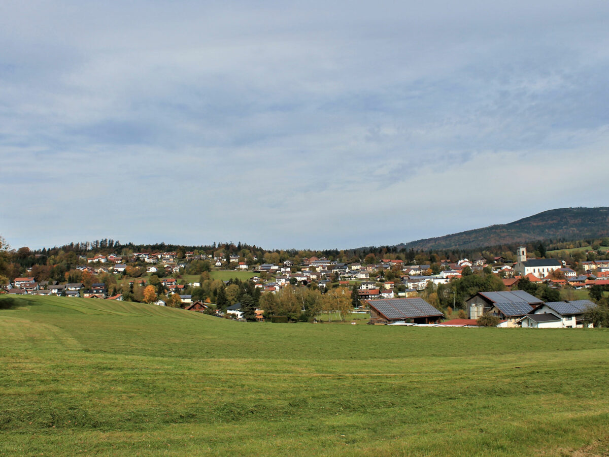 Blick über Neureichenau.