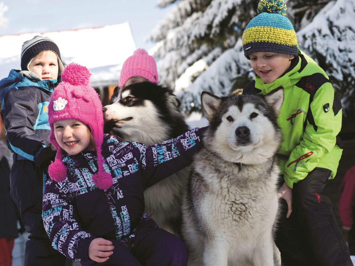 Kinder mit Huskys